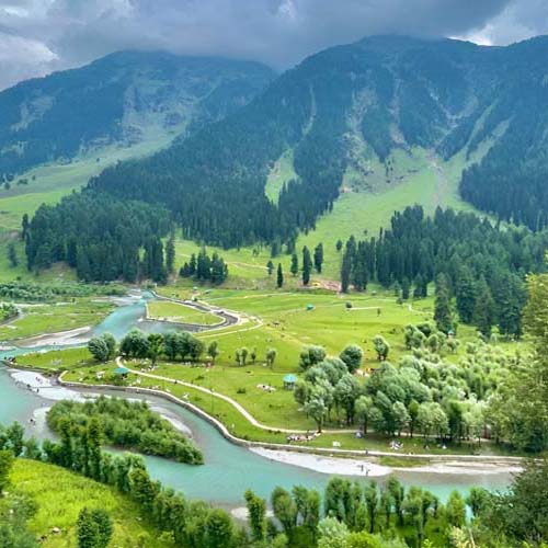 Tour and Travel Srinagar